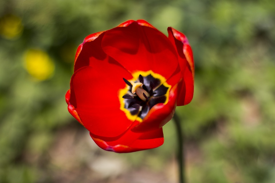 Maximizing ROI with Digital Strategy: Best Practices and Case Studies